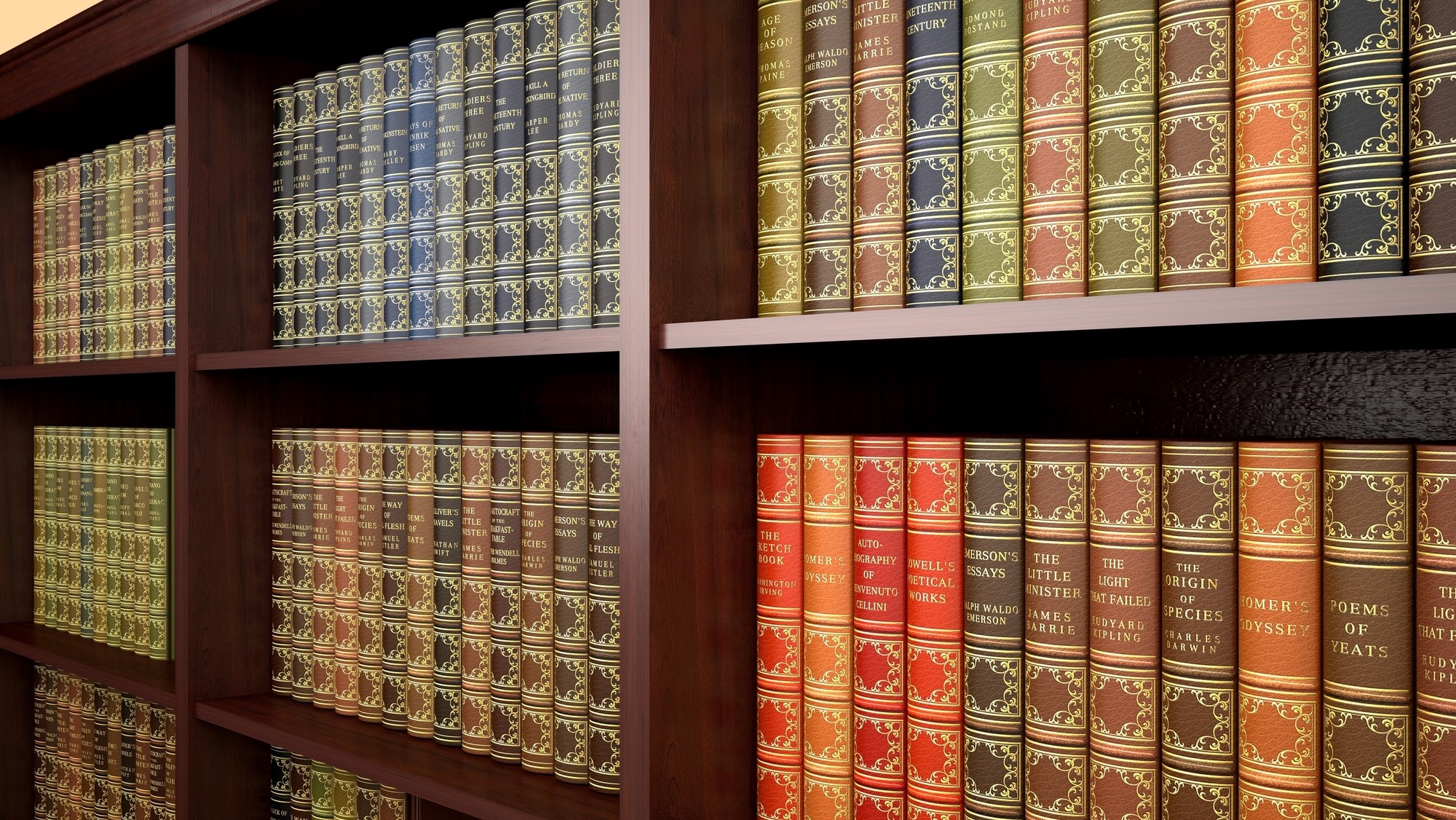A wooden bookshelf displays an array of classic books